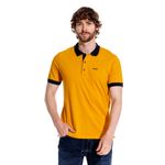 GM1102695N000_AMM_AMARILLO_1